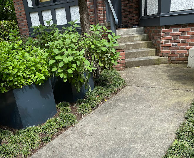 Residential Pressure Washing Services Near Me