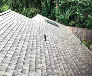 Pressure Wash Roof Cost