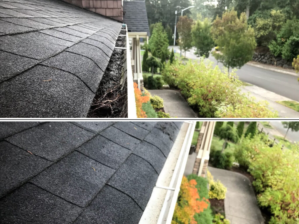 Residential Gutter Cleaning Services