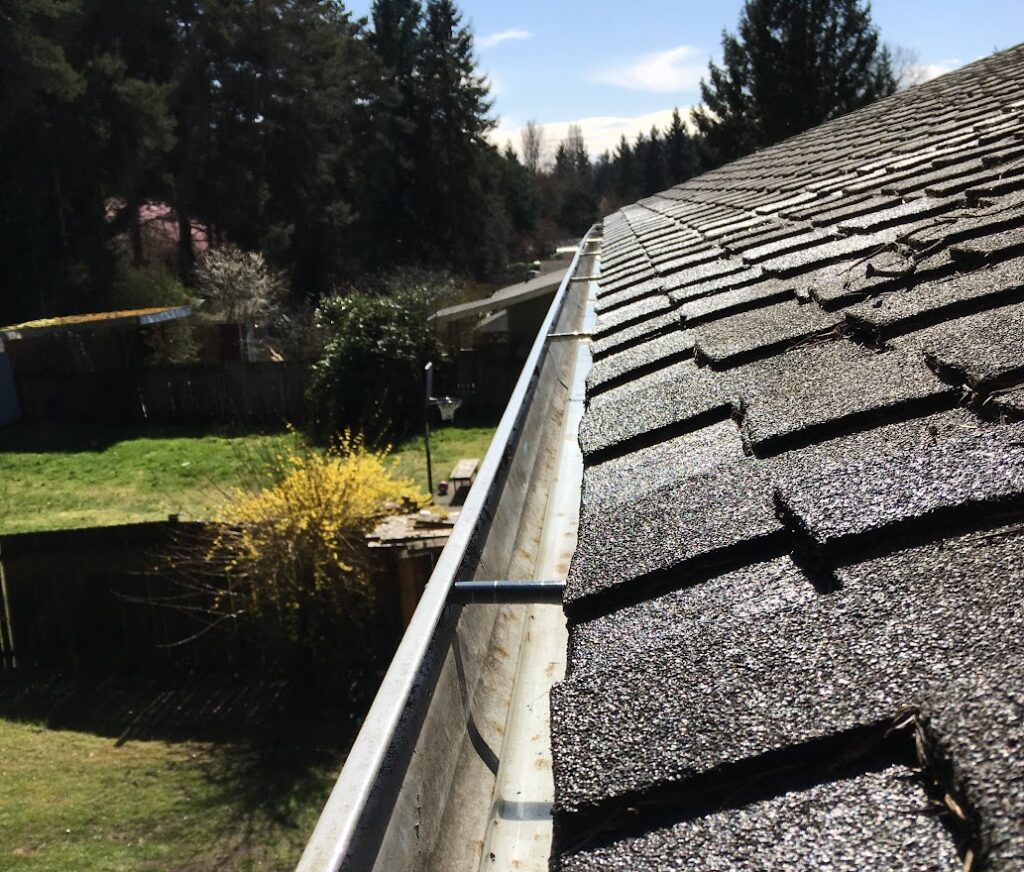 Best Gutter Cleaning Services